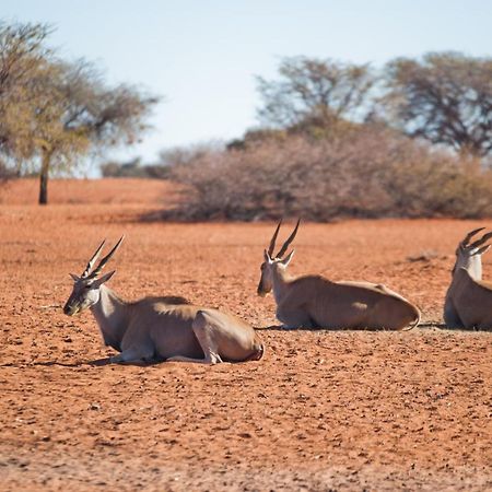 Kalahari Anib Campsite Hardap Exteriör bild